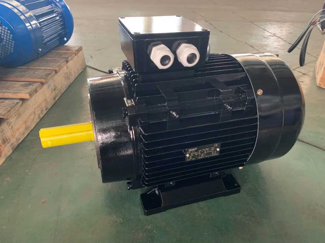 7.5kw 3 Phase Aluminum Ie2 AC Electric High Power Motor for Marine Ms Series