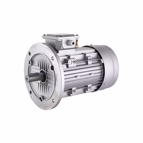 Motore a induzione a bassa tensione per uso generale serie Ms, trifase, 0,75 kW, 1 CV